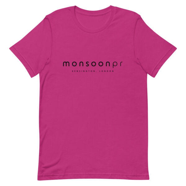 Monsoon PR - Image 2
