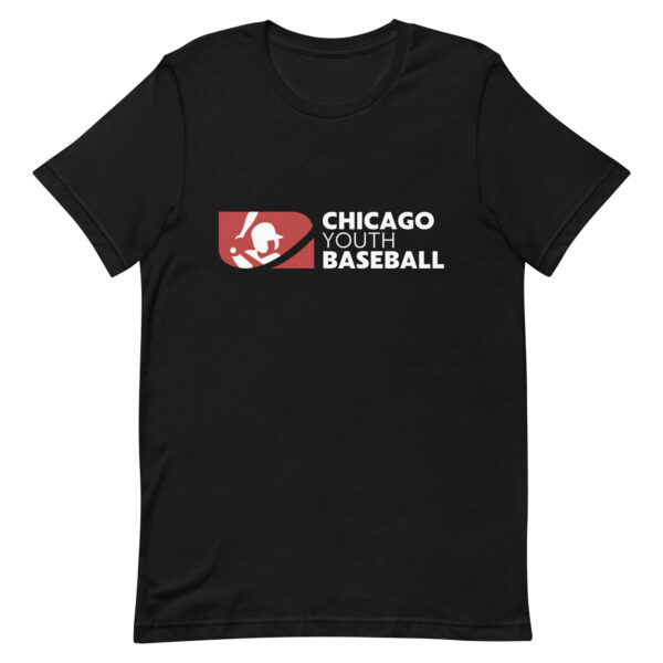 Chicago Youth Baseball - Image 3