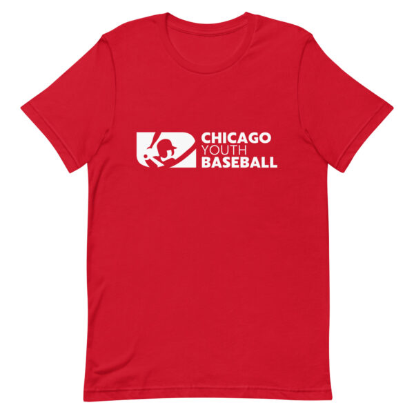 Chicago Youth Baseball - Image 4