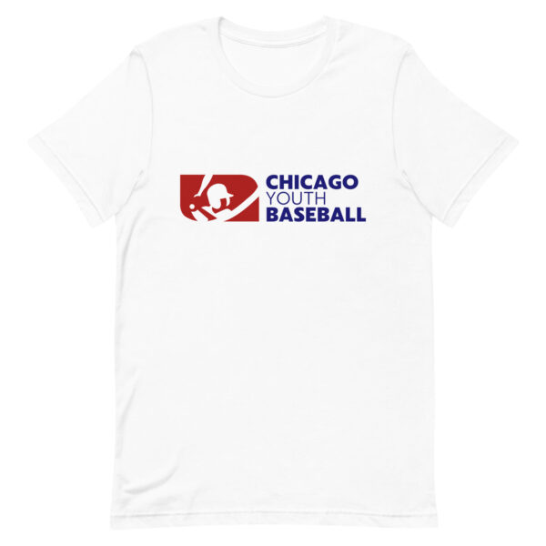 Chicago Youth Baseball - Image 6